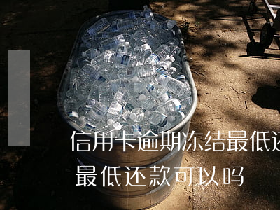 信用卡逾期冻结最低还款吗(信用卡冻结了还最低还款可以吗)