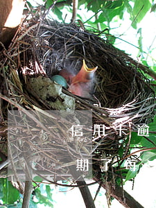 信用卡逾期冻结每个月还钱(欠信用卡的钱逾期了每个月还一点可以吗)