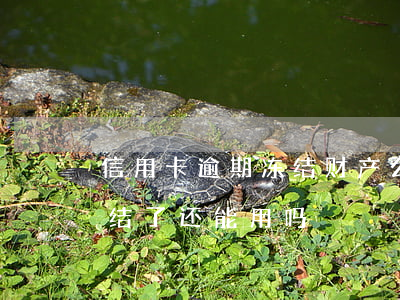 信用卡逾期冻结财产么-逾期的信用卡被冻结了还能用吗