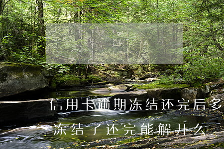 信用卡逾期冻结还完后多久解冻-逾期了卡冻结了还完能解开么