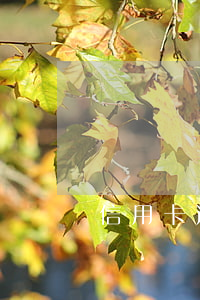 信用卡逾期冻结还能解吗