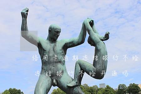 信用卡逾期冻结银行不给开通吗(信用卡逾期冻结银行不给开通吗)
