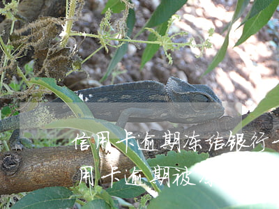 信用卡逾期冻结银行卡储蓄卡(储蓄卡因为信用卡逾期被冻结,可以在拖几个月还款吗)