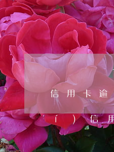 信用卡逾期凍結(jié)24小時(shí)(信用卡逾期不到24小時(shí))