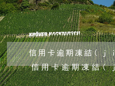 信用卡逾期凍結(jié)不注銷會怎么樣(信用卡逾期凍結(jié)不注銷會怎么樣嗎)