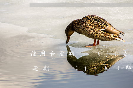 信用卡逾期凍結(jié)不給解凍(信用卡逾期凍結(jié)解凍技巧)
