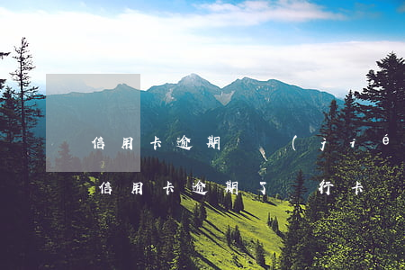 信用卡逾期凍結(jié)之后多久可以用(信用卡逾期了銀行卡會(huì)凍結(jié)嗎)