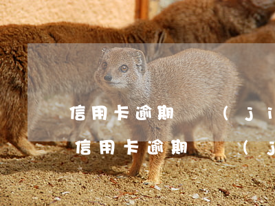 信用卡逾期凍結(jié)了可以注銷嗎-信用卡 逾期 凍結(jié)