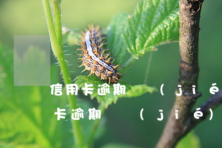 信用卡逾期凍結(jié)了影響大嗎(信用卡逾期凍結(jié)了影響大嗎)