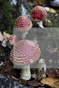 信用卡逾期凍結(jié)了怎么解凍第三個月-信用卡逾期凍結(jié)了怎么解凍第三個月還款