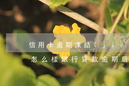 信用卡逾期凍結(jié)了會(huì)怎么樣(銀行貸款逾期后信用卡凍結(jié)了怎么辦)