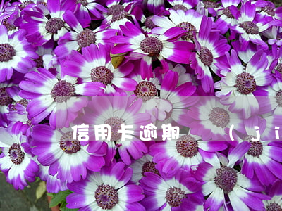 信用卡逾期凍結(jié)了還不上怎么辦