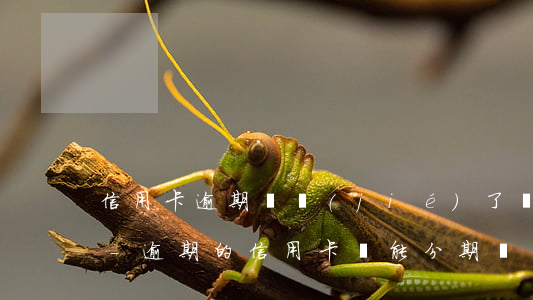信用卡逾期凍結(jié)了還可以分期嗎-逾期的信用卡還能分期嗎