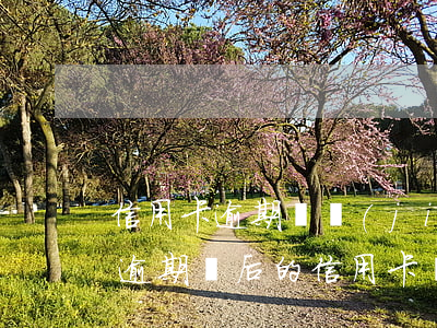 信用卡逾期凍結(jié)了還清還能用嗎(逾期過后的信用卡還清后還可以使用么)