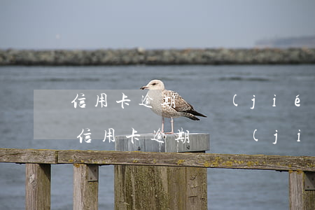 信用卡逾期凍結(jié)了還能解除嗎-信用卡逾期凍結(jié)了還能解除嗎微信