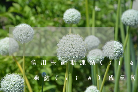 信用卡逾期凍結(jié)代還 信用卡逾期凍結(jié)代還代還