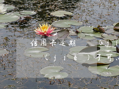 信用卡 逾期 凍結(jié)（信用卡逾期被凍結(jié)了可以還款嗎）