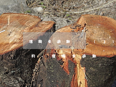 信用卡逾期凍結(jié)儲蓄卡里錢三個月-信用卡逾期凍結(jié)儲蓄卡里錢三個月怎么辦