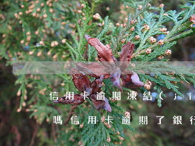 信用卡逾期凍結(jié)兩年了還能解凍嗎(信用卡逾期了銀行卡會(huì)凍結(jié)嗎)