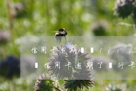 信用卡逾期凍結(jié)兩年了還能解凍嗎(信用卡逾期了銀行卡會凍結(jié)嗎)