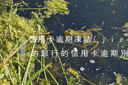 信用卡逾期凍結(jié)其他行銀行卡(別的銀行的信用卡逾期別的銀行卡會不會凍結(jié))