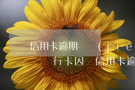 信用卡逾期凍結(jié)別的儲蓄卡的賬戶(銀行卡因為信用卡逾期被凍結(jié))