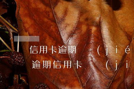 信用卡逾期凍結(jié)可以貸款嗎(貸款逾期信用卡凍結(jié)了怎么辦)