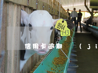 信用卡逾期凍結(jié)后可以慢慢還嗎
