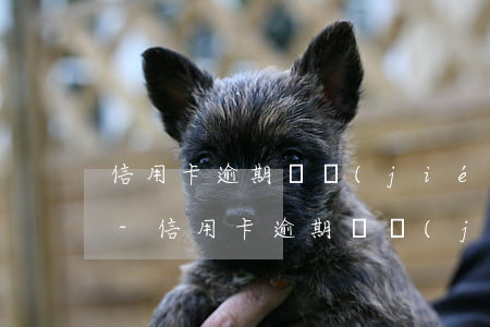 信用卡逾期凍結(jié)后多久可以貸款-信用卡逾期凍結(jié)后多久可以貸款買房子