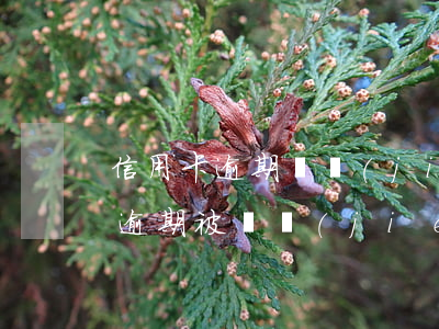 信用卡逾期凍結(jié)后注銷嗎(信用卡逾期被凍結(jié)后,什么時候可以解除)