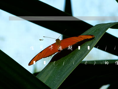 信用卡逾期凍結(jié)后還了最低還款 凍結(jié)的信用卡還能還款嗎