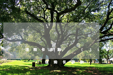 信用卡逾期凍結(jié)后還清了還能用嗎-信用卡逾期凍結(jié)后還清了還能用嗎怎么辦
