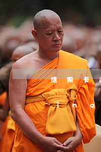 信用卡逾期凍結(jié)后還能申請(qǐng)嗎(信用卡 逾期 凍結(jié))