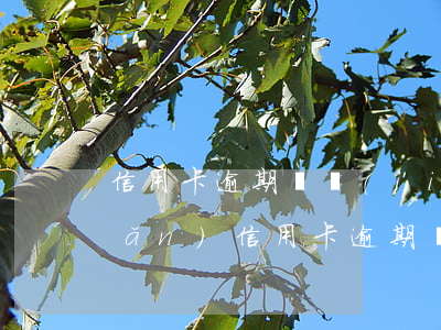 信用卡逾期凍結(jié)唯一房產(chǎn)(信用卡逾期會(huì)被凍結(jié)名下所有資產(chǎn)么)