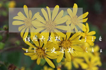 信用卡逾期凍結(jié)工資卡的規(guī)定(逾期會(huì)凍結(jié)工資卡嗎)