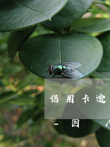 信用卡逾期凍結(jié)影響個人征信嗎-因個人征信不好信用卡被凍結(jié)