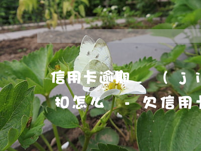 信用卡逾期凍結(jié)微信零錢直接劃扣怎么辦-欠信用卡微信凍結(jié)了零錢
