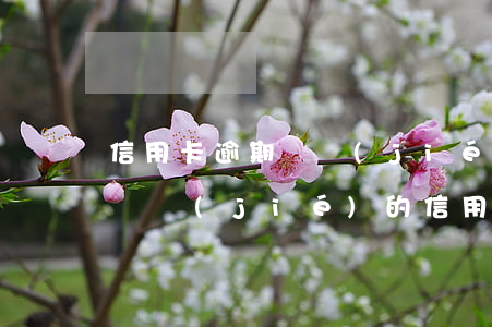 信用卡逾期凍結(jié)怎么分期還本金(凍結(jié)的信用卡可以分期還款嗎)