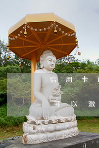 信用卡逾期凍結(jié)怎么激活(有逾期可以激活信用卡嗎)