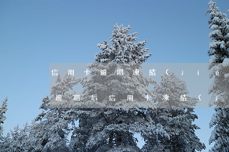 信用卡逾期凍結(jié)怎么解 銀行貸款逾期后信用卡凍結(jié)了怎么辦