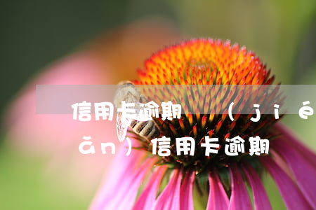 信用卡逾期凍結(jié)所有資產(chǎn)(信用卡逾期凍結(jié)資產(chǎn)還要還利息嗎)
