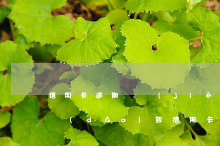 信用卡逾期凍結(jié)文本(征信有逾期導(dǎo)致信用卡凍結(jié))