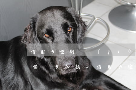 信用卡逾期凍結(jié)會(huì)在借記卡扣款-信用卡逾期凍結(jié)會(huì)在借記卡扣款嗎