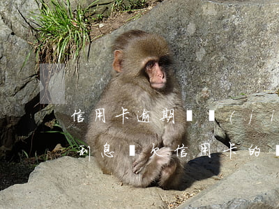 信用卡逾期凍結(jié)會(huì)收利息嗎(欠信用卡的錢會(huì)凍結(jié)銀行卡嗎)