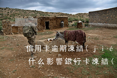 信用卡逾期凍結(jié)會(huì)有什么影響(銀行卡凍結(jié)導(dǎo)致信用卡逾期)