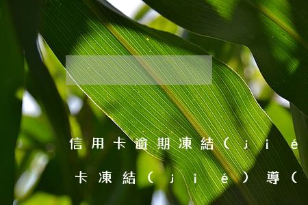 信用卡逾期凍結(jié)有什么后果(銀行卡凍結(jié)導(dǎo)致信用卡逾期)