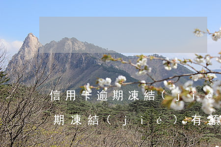 信用卡逾期凍結(jié)有額度(信用卡逾期凍結(jié)有額度沒)