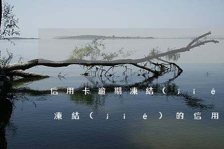 信用卡逾期凍結(jié)未還清能解凍嗎(凍結(jié)的信用卡還清后,銀行會(huì)解凍嗎)