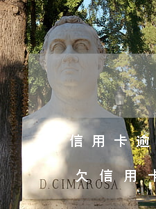 信用卡逾期凍結(jié)汽車(chē)(欠信用卡會(huì)凍結(jié)車(chē)輛嗎)