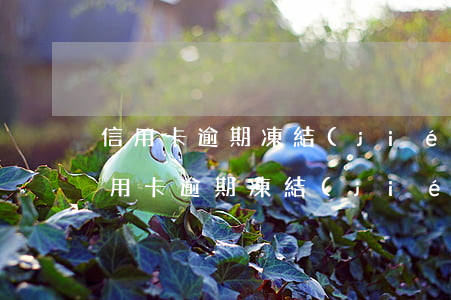 信用卡逾期凍結(jié)沒錢還怎么辦 信用卡逾期凍結(jié)沒錢還怎么辦